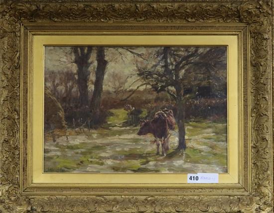 James Charles (1851 - 1906) Cow in an orchard 12 x 17.5in.